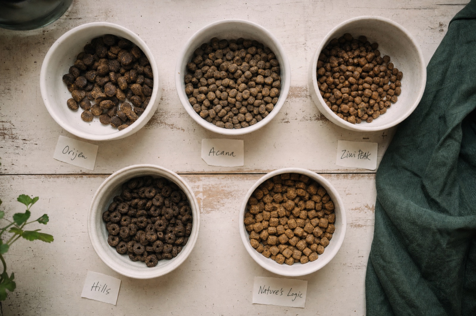 Five bowls of different kibble with handwritten brand labels